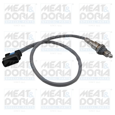 Oxygen Sensor